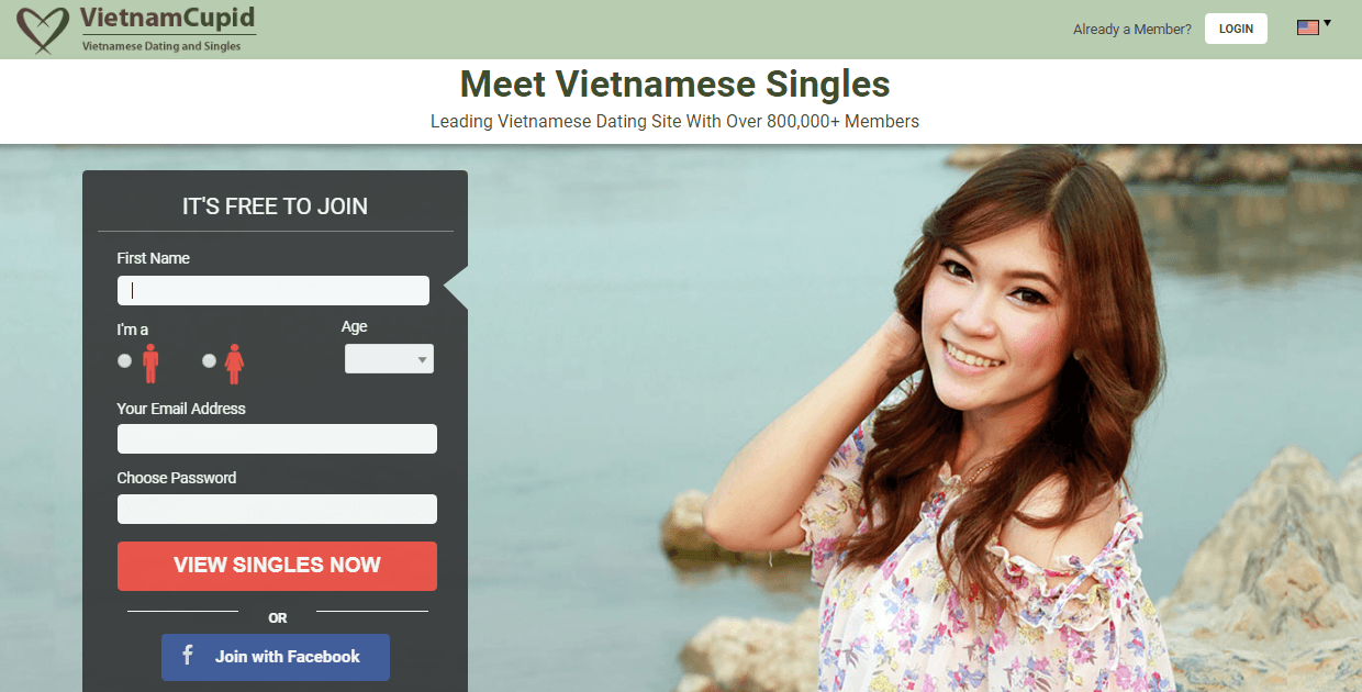 VietnamCupid – photo 1